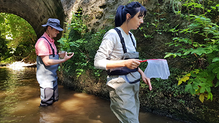 008 Sortie entomologie 2018